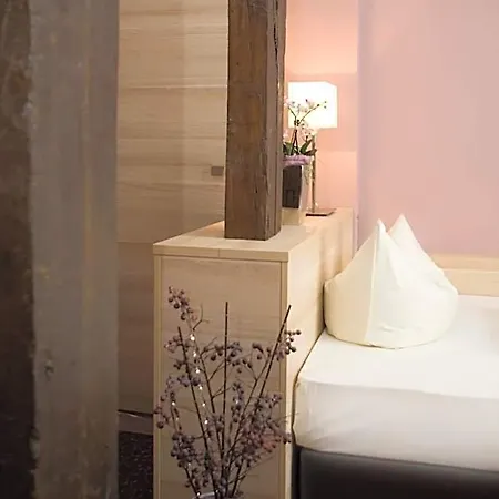 Ringhotel Nassau-oranien 하다마르