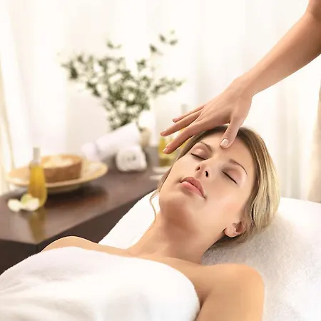 Ringhotel Nassau-oranien Otel Hadamar