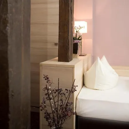 Ringhotel Nassau-oranien 호텔